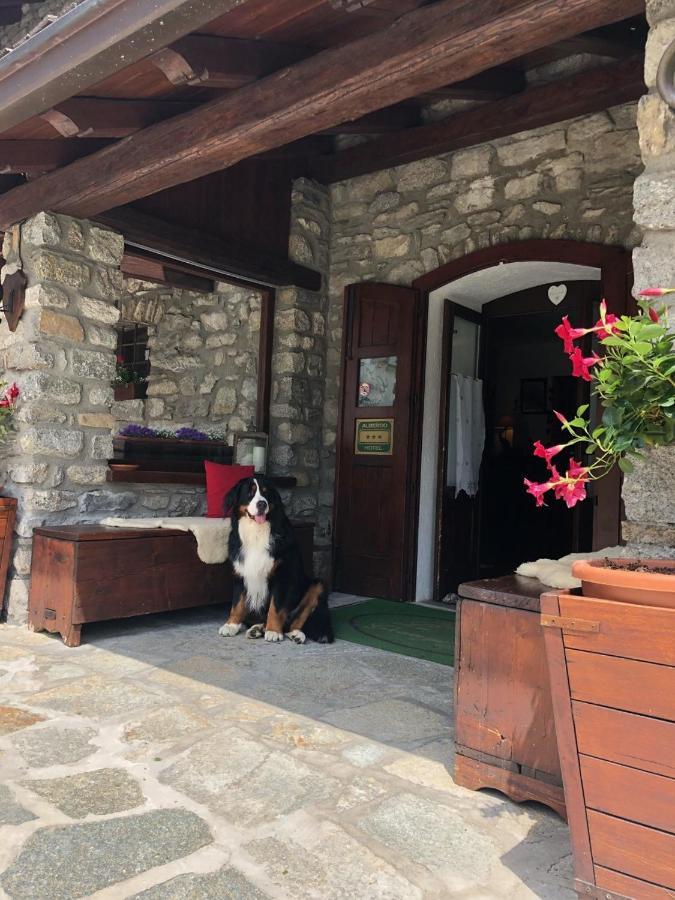 Hotel La Grange - Animal Chic Hotel Courmayeur Bagian luar foto