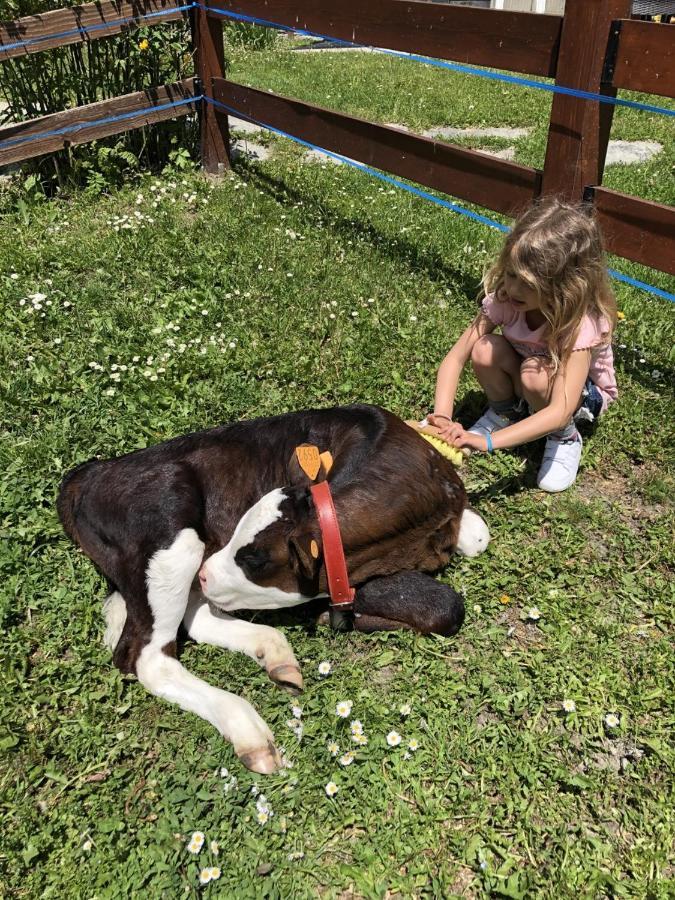 Hotel La Grange - Animal Chic Hotel Courmayeur Bagian luar foto