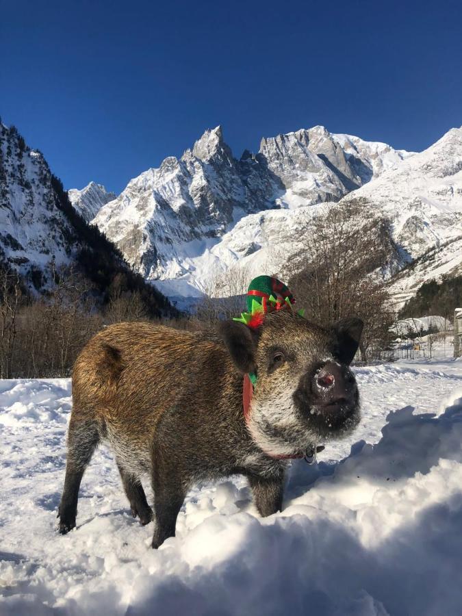 Hotel La Grange - Animal Chic Hotel Courmayeur Bagian luar foto