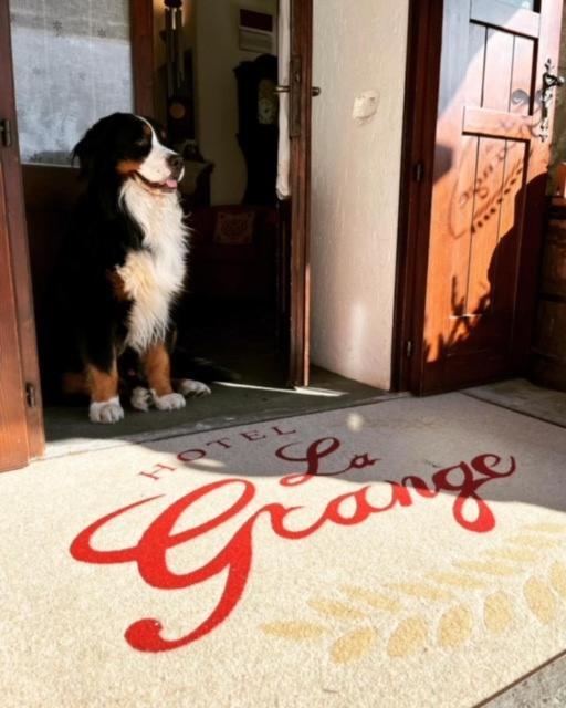 Hotel La Grange - Animal Chic Hotel Courmayeur Bagian luar foto