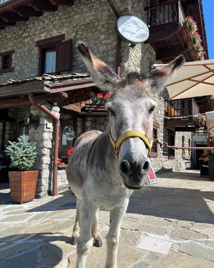 Hotel La Grange - Animal Chic Hotel Courmayeur Bagian luar foto