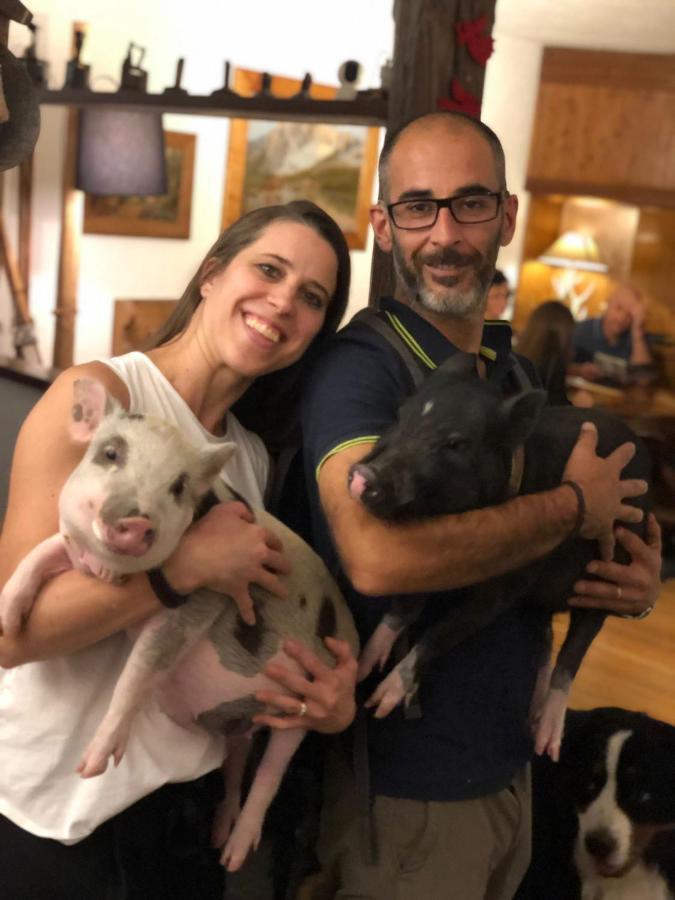 Hotel La Grange - Animal Chic Hotel Courmayeur Bagian luar foto