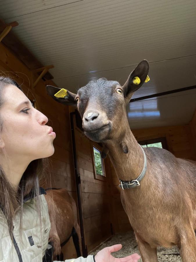 Hotel La Grange - Animal Chic Hotel Courmayeur Bagian luar foto